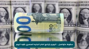 سقوط متواصل.. اليورو يتراجع أمام الجنيه المصري بقوة اليوم